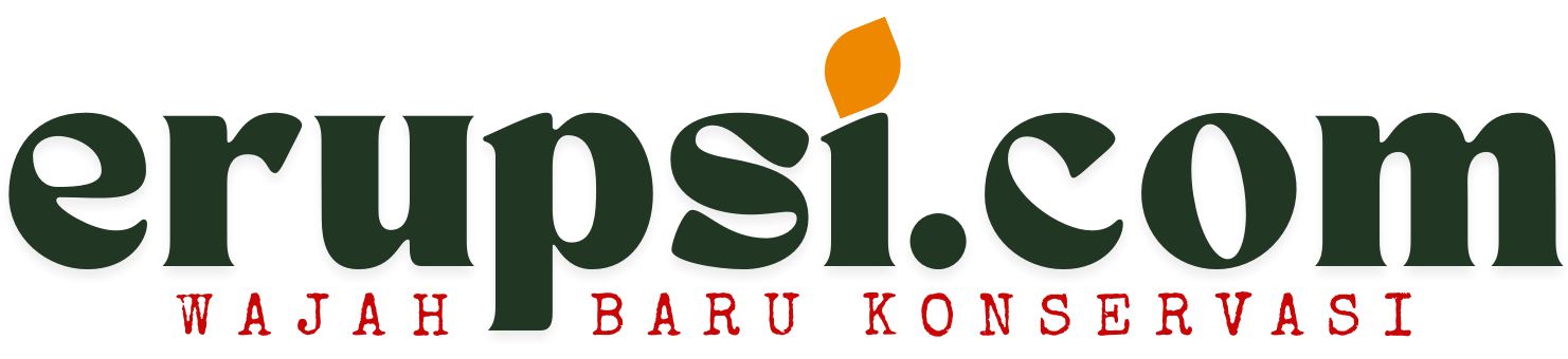 Erupsi