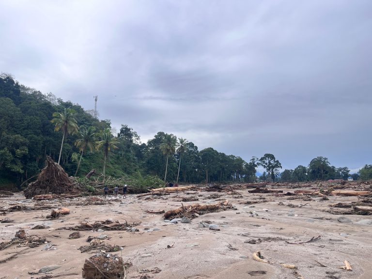Keterangan foto: Banjir melanda kawasan Ekosistem Batang Toru di sekitar Desa Garoga, Kecamatan Batangtoru, Kabupaten Tapanuli Selatan, Provinsi Sumatera Utara, baru-baru ini. (Sumber foto: Istimewa)